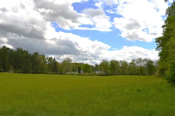 Windy Meadows Ln, Frankford, WV 24938