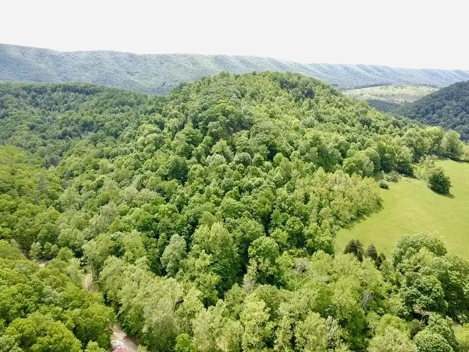 0 Two Brothers Rd., Lindside, WV 24951 - Image #1