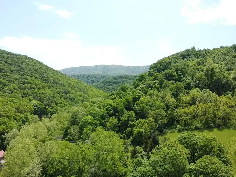 0 Two Brothers Rd., Lindside, WV 24951 - Image #2