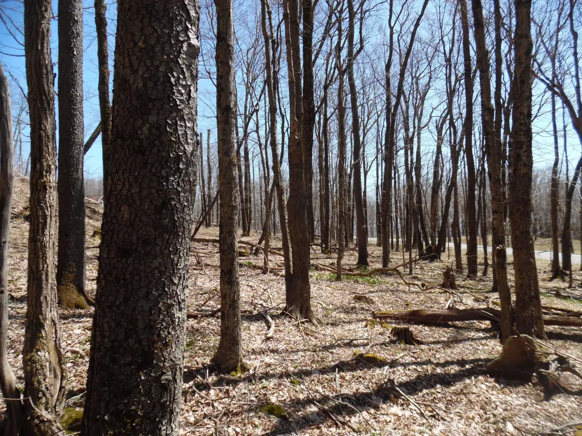 6183 Cass Road, Slatyfork, WV 26291 - Image #1