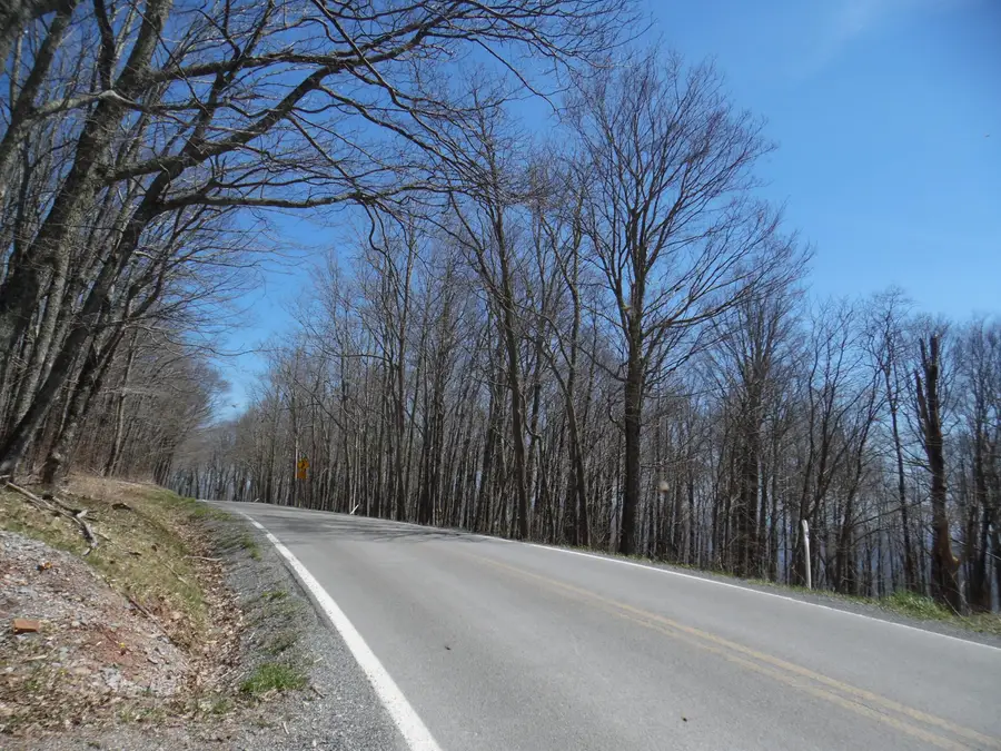 6183 Cass Road, Slatyfork, WV 26291 - Image #2