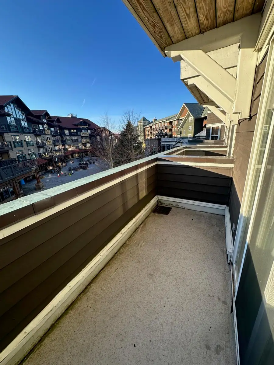 112 Allegheny Springs, Snowshoe, WV 26209 - #3