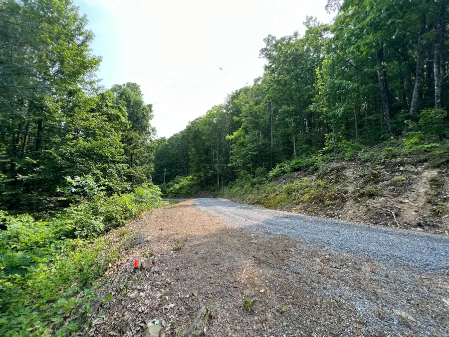Lot 29 Katy Drive, White Sulphur Springs, WV 24986 - Image #2