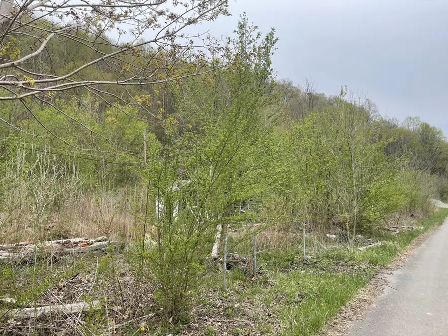 16 Logan Rd, Page, WV 25152 - #2