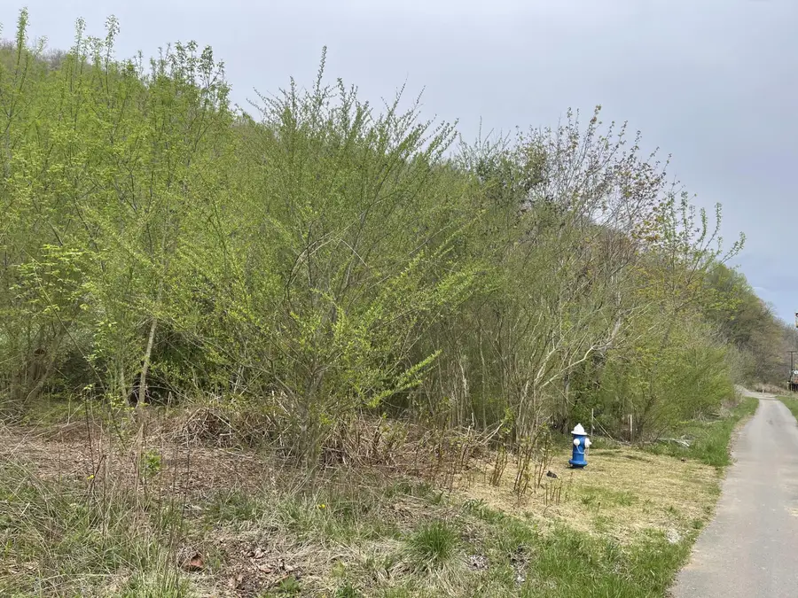 16 Logan Rd, Page, WV 25152 - #3