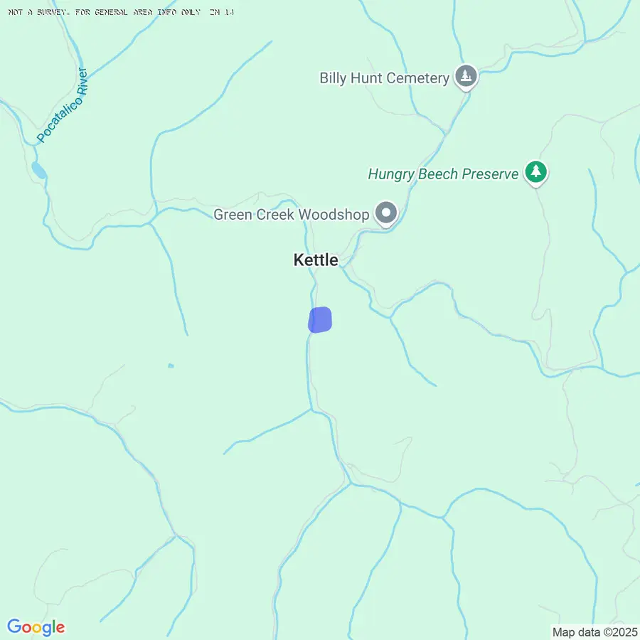 1801 Kettle Rd, Walton, WV 25286 - Image #3