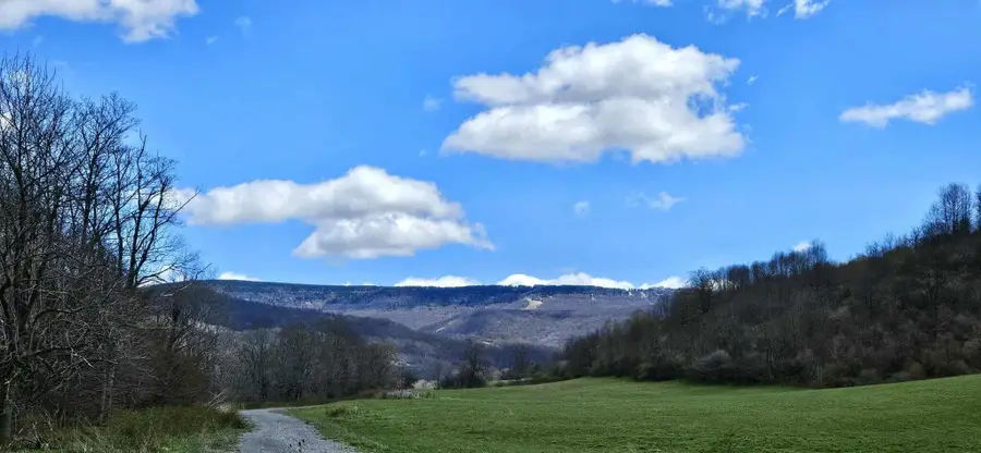 38162 Seneca Trl., Slatyfork, WV 26291 - Image #2