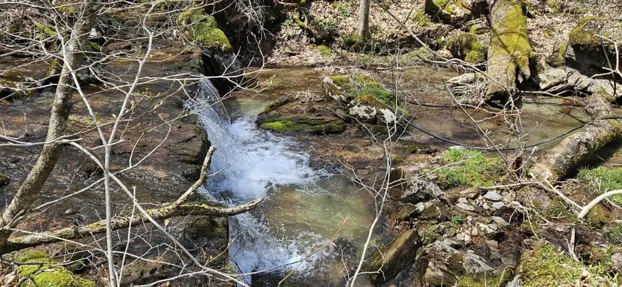 38162 Seneca Trl., Slatyfork, WV 26291 - Image #3