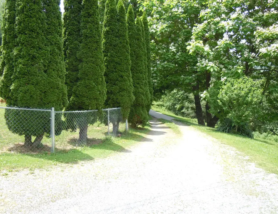 232 Greenbrier Hl, Marlinton, WV 24954 - #2