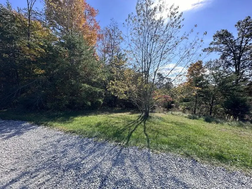 Lot 52 Bee Tree Ln, Peterstown, WV 24963 - #1
