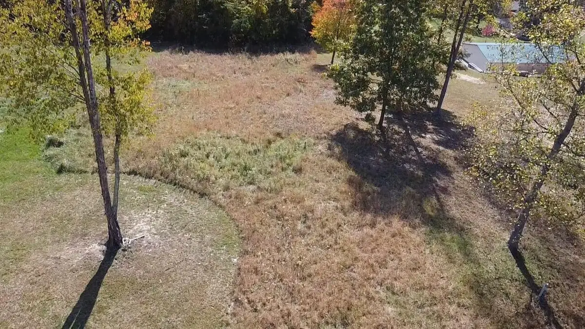 Lot 54 Bee Tree Ln, Peterstown, WV 24963 - #1