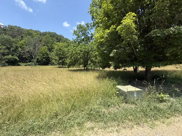 Lots 20&21 Grandview Dr, Forest Hill, WV 24935