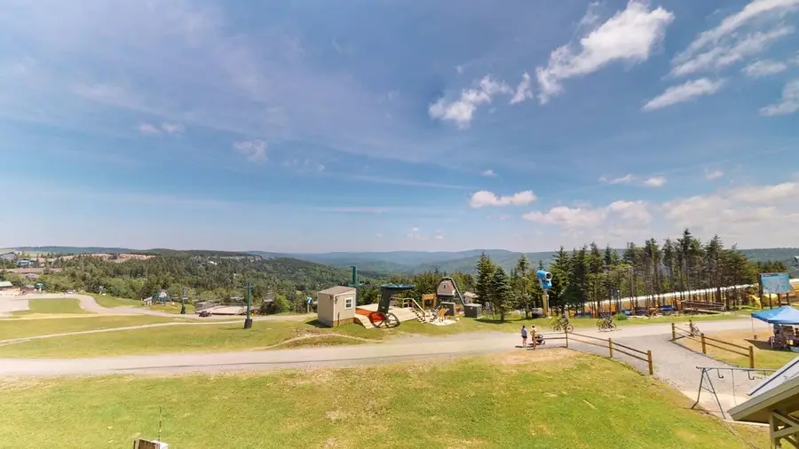 319 Highland House, Snowshoe, WV 26209 - #3