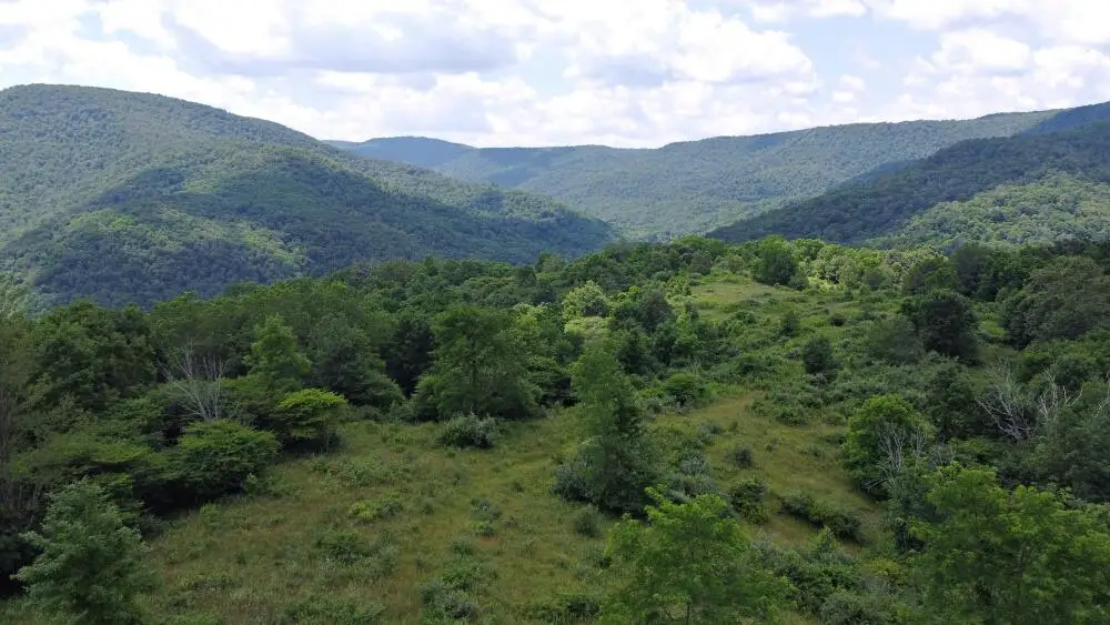 Linwood Rd, Slatyfork, WV 26291 - #1
