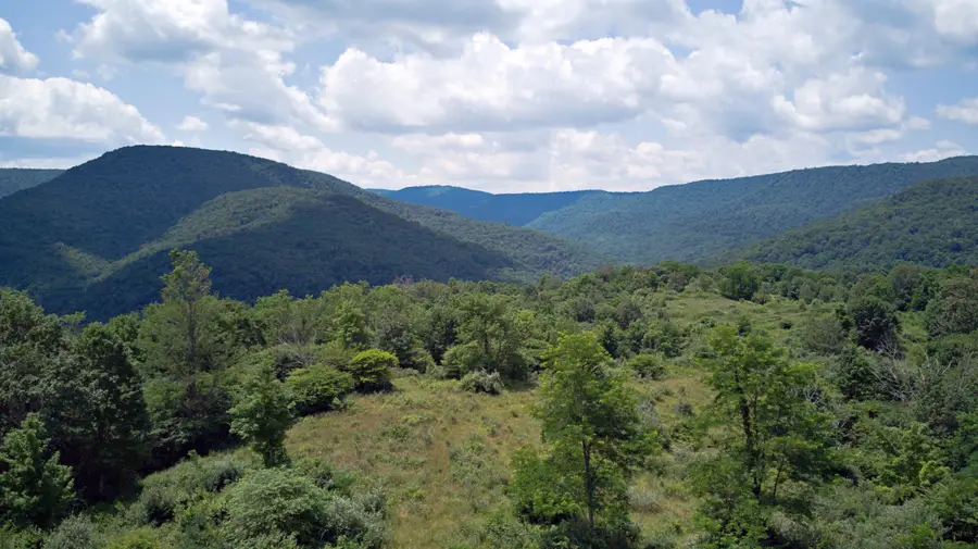 Linwood Rd, Slatyfork, WV 26291 - #2