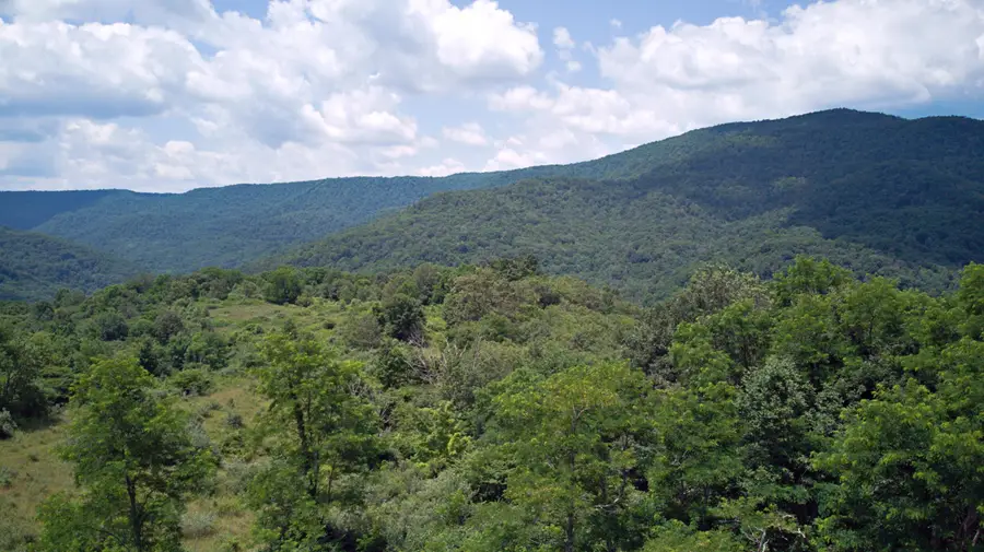 Linwood Rd, Slatyfork, WV 26291 - #3