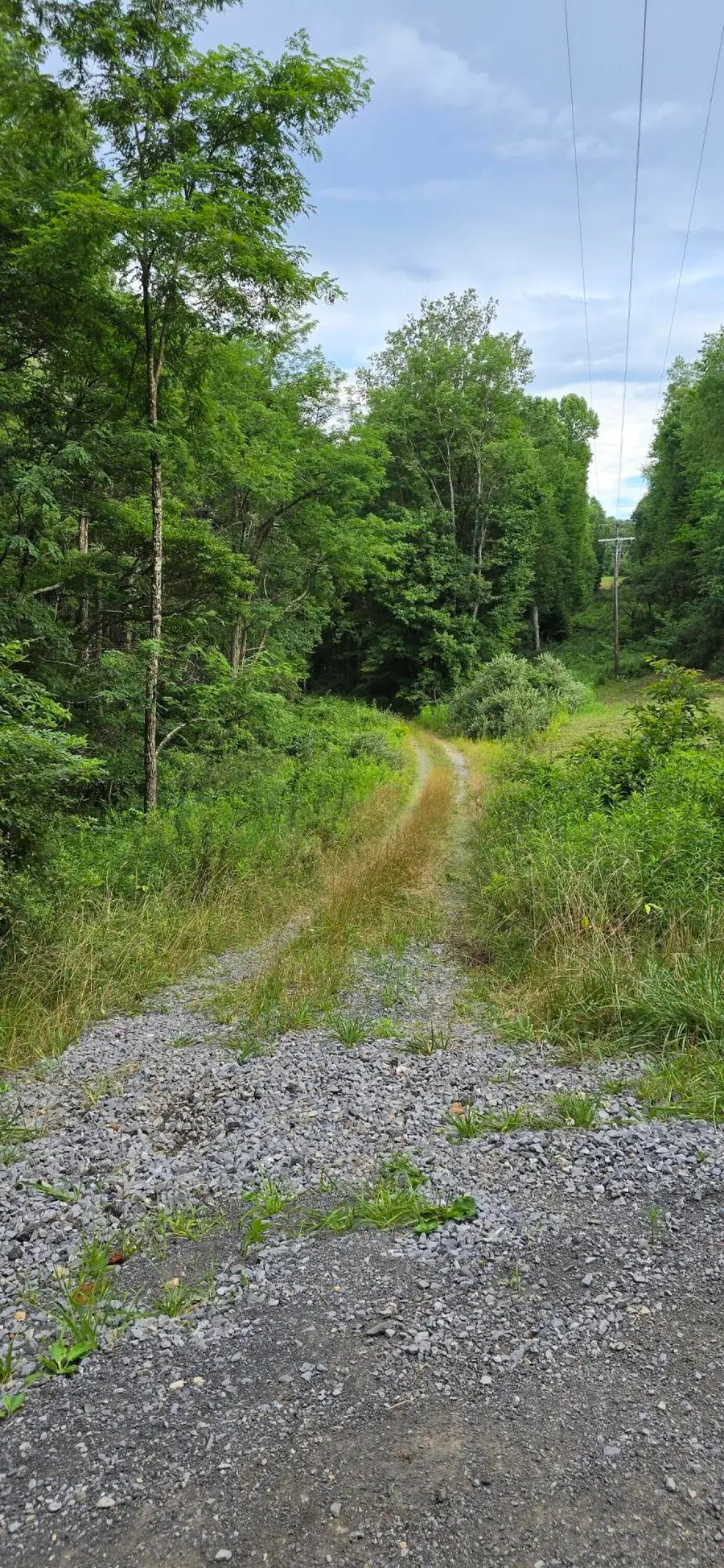 238 Coggins Knob Rd, Kentucky, WV 26679 - #2