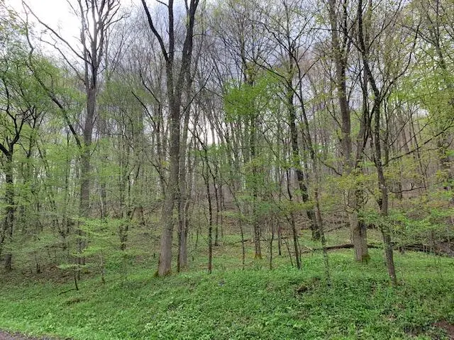 9 Slatyridge, Slatyfork, WV 26291 - Image #1