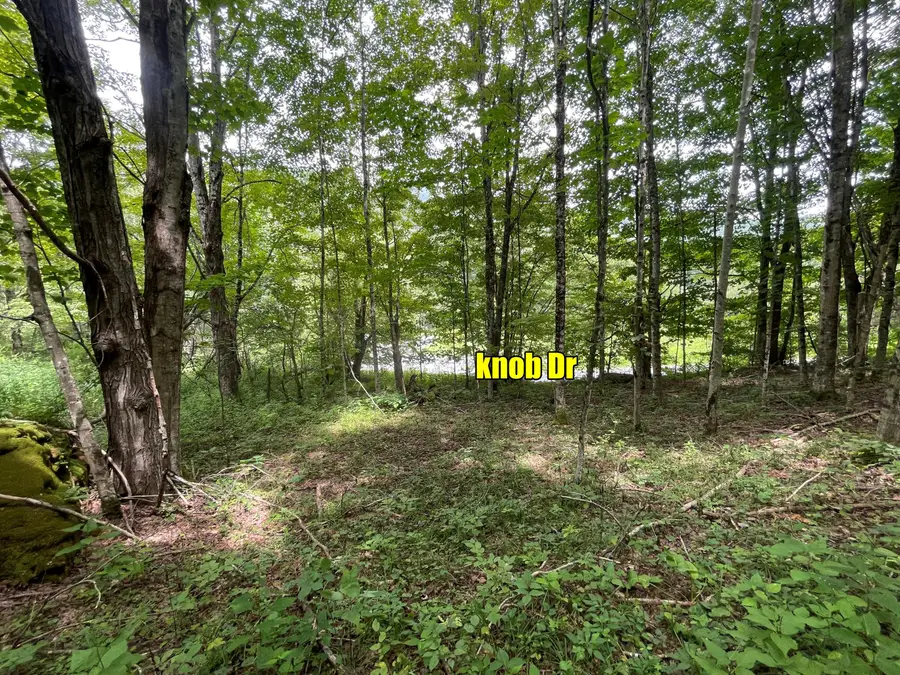 6 Slatyridge, Slatyfork, WV 26291 - Image #2