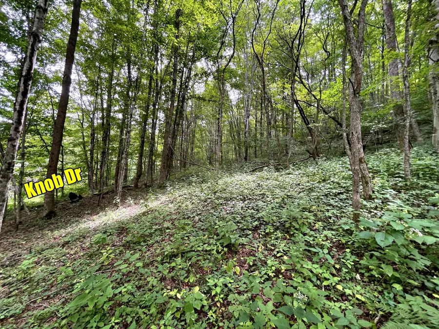 6 Slatyridge, Slatyfork, WV 26291 - Image #3