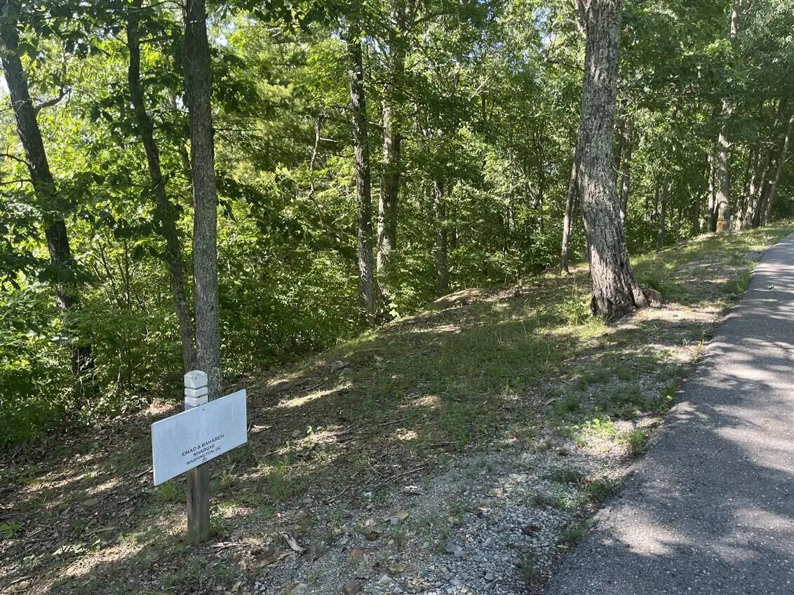 Lot 20 Wildwood Rdg, Caldwell, WV 24925 - Image #1