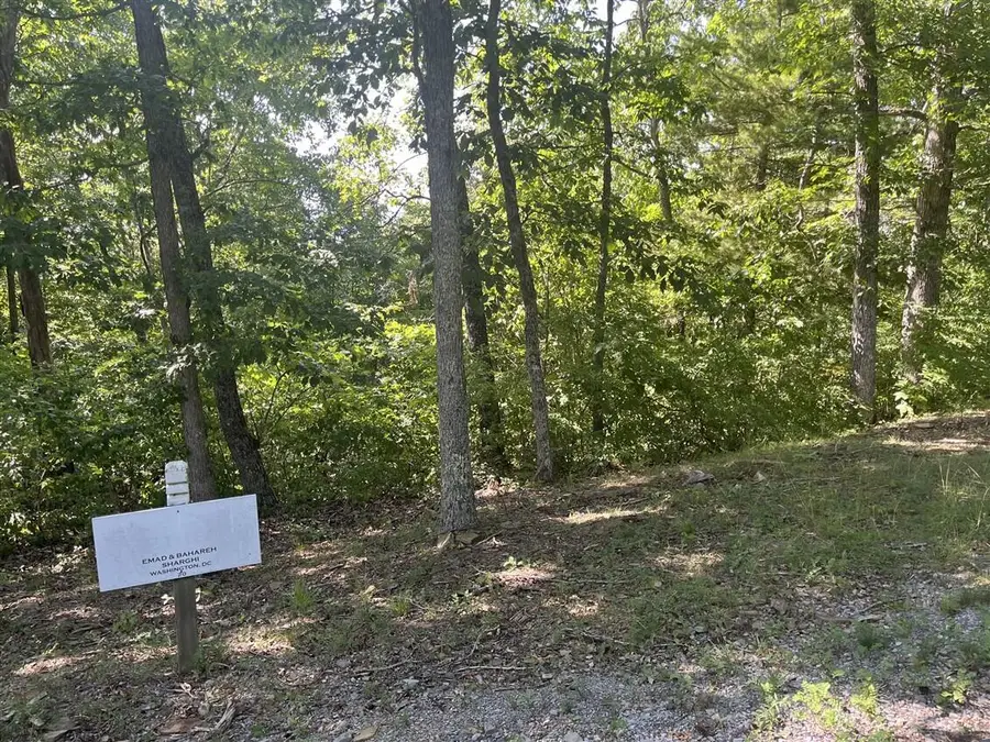 Lot 20 Wildwood Rdg, Caldwell, WV 24925 - Image #2