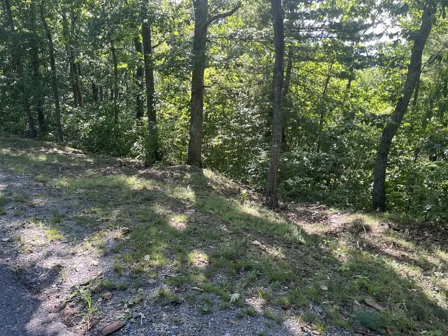 Lot 20 Wildwood Rdg, Caldwell, WV 24925 - Image #3