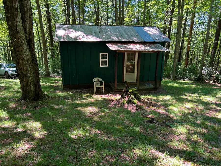 Lot 1a,1b Bear Trak Road, Gap Mills, WV 24941 - #2