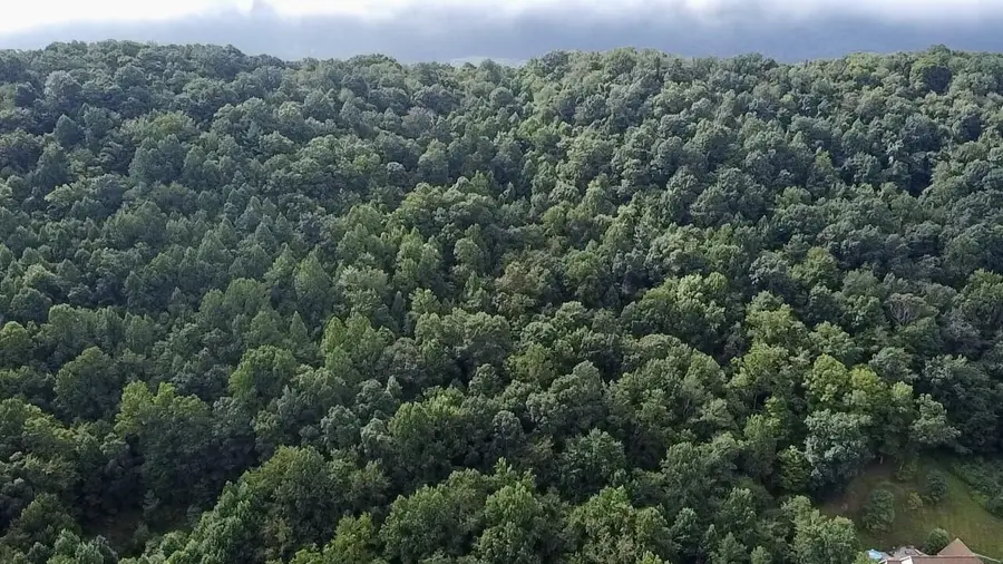 63 Fairway View Dr, Peterstown, WV 24963 - Image #2