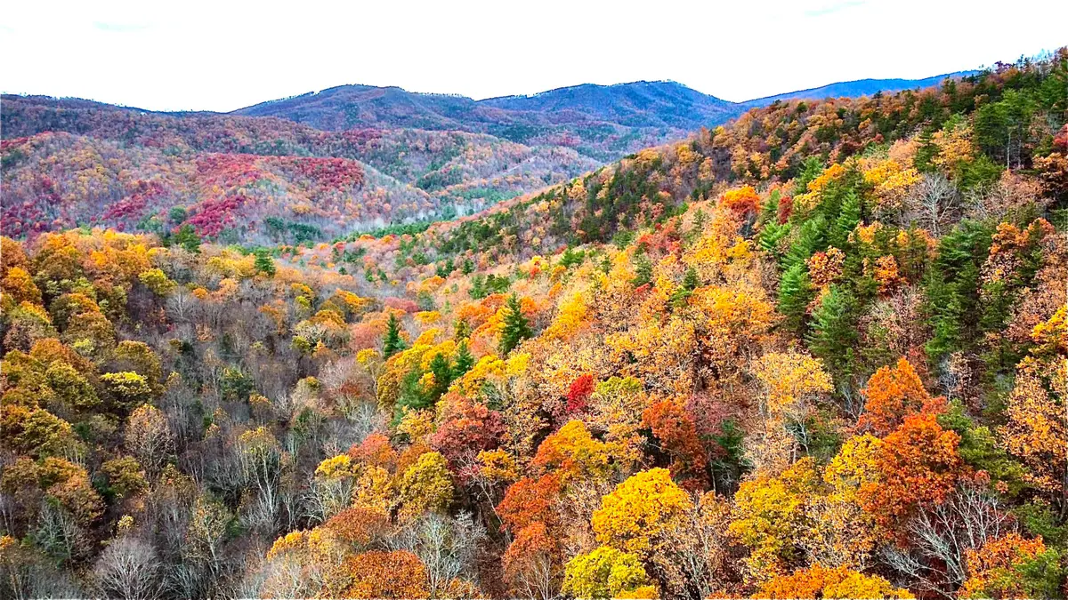 Blackberry Way Lot 19 Tract B, Caldwell, WV 24925 - Image #1