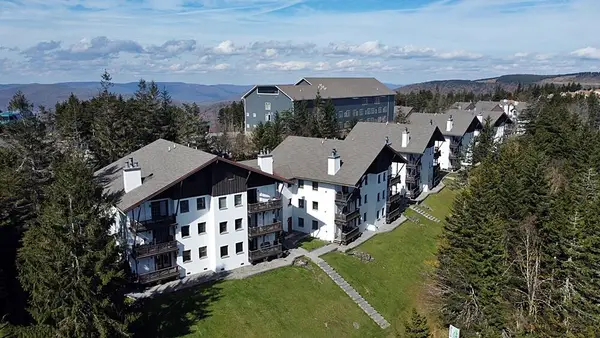 43 Whistlepunk, Snowshoe, WV 26209