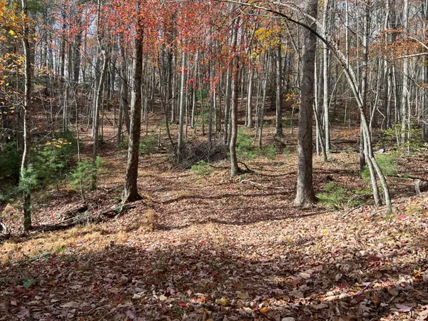 Hollywood Glace Road, Union, WV 24983