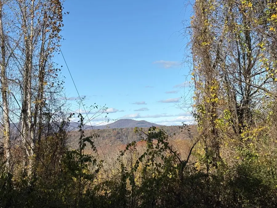 29276 N Seneca Trl, Renick, WV 24966 - Image #3