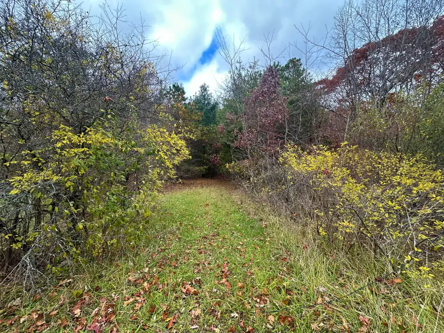 Moncove Lake Road, Gap Mills, WV 24941 - Image #2