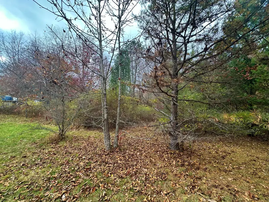 Moncove Lake Road, Gap Mills, WV 24941 - Image #3