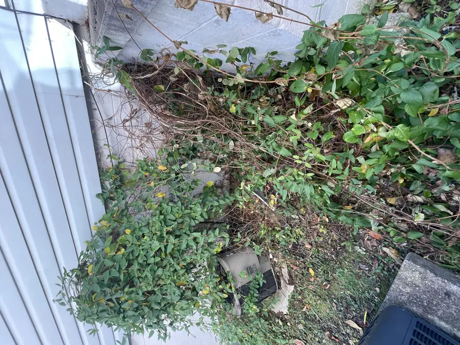 236 Clem St, Huntington, WV 25705 - Image #3