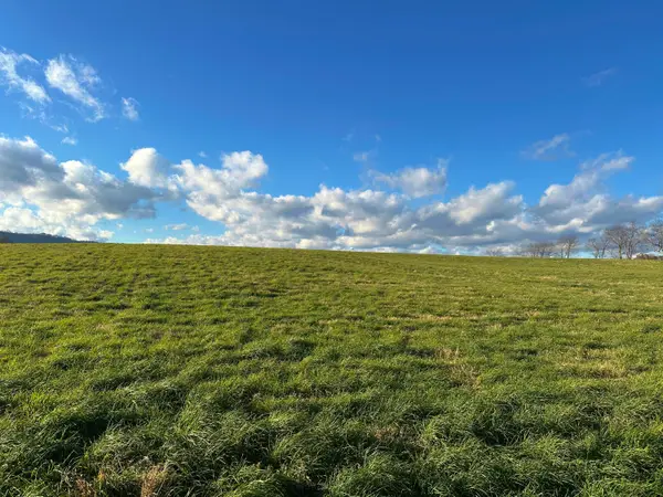 Hartland Farm Lane, Lewisburg, WV 24901