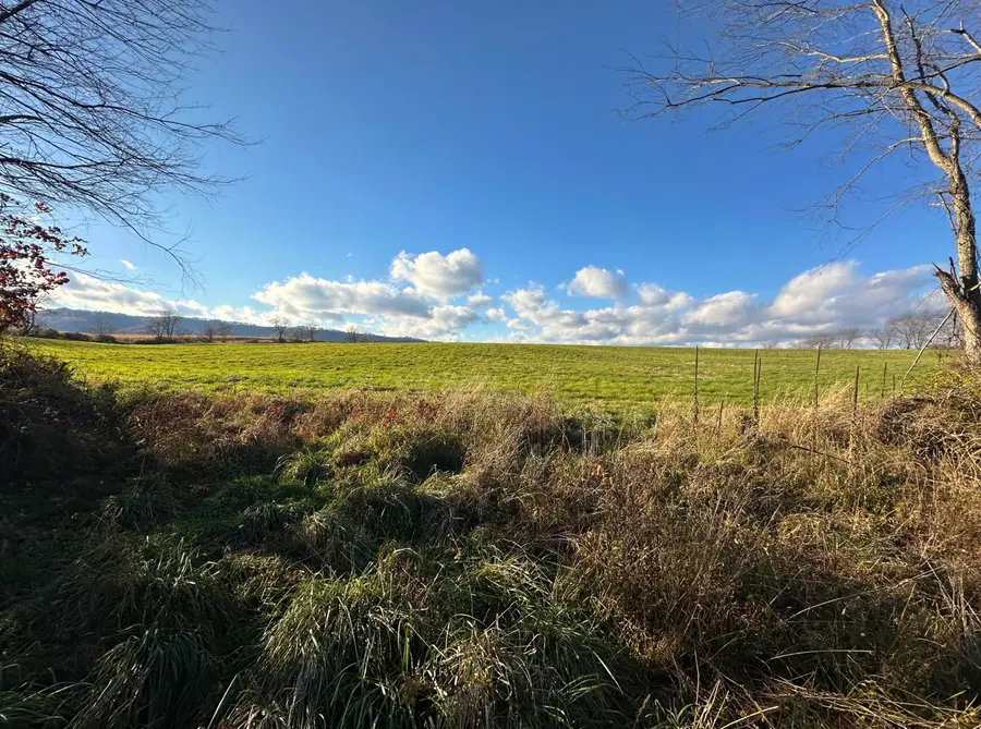 Hartland Farm Lane, Lewisburg, WV 24901 - Image #2