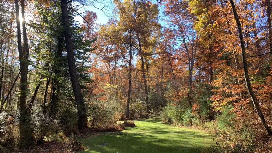 220 S Ridgeview Drive, Cool Ridge, WV 25825 - Image #3