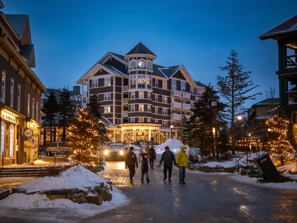 232 Allegheny Springs Lodge, Snowshoe, WV 26209