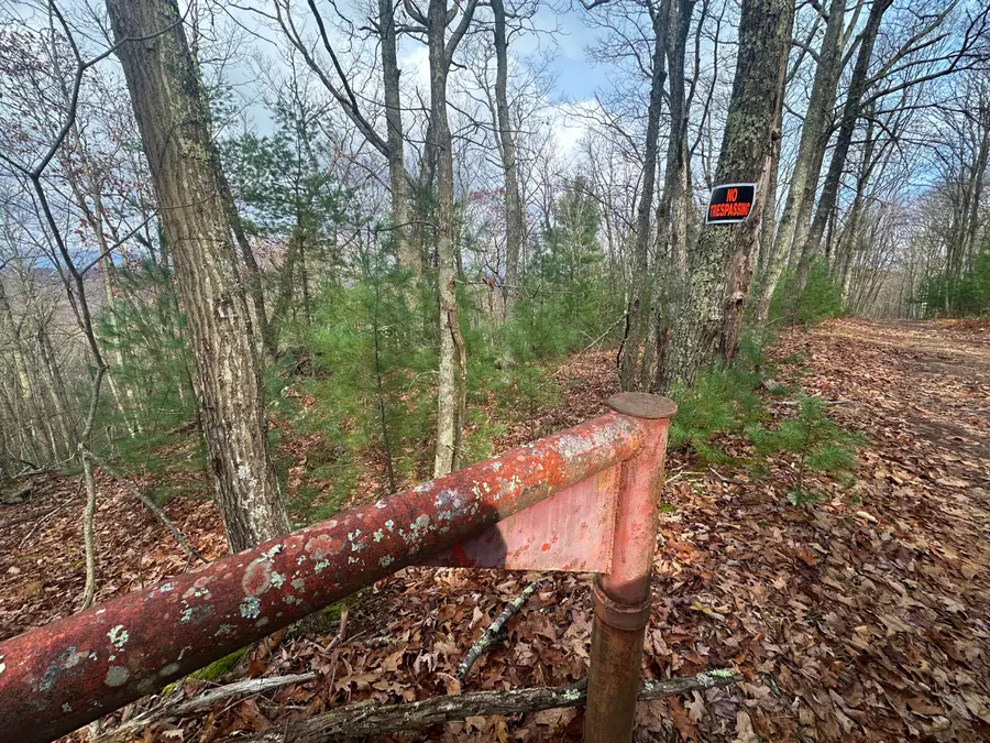 Lot 46 Bear Trak, Gap Mills, WV 24941 - Image #3