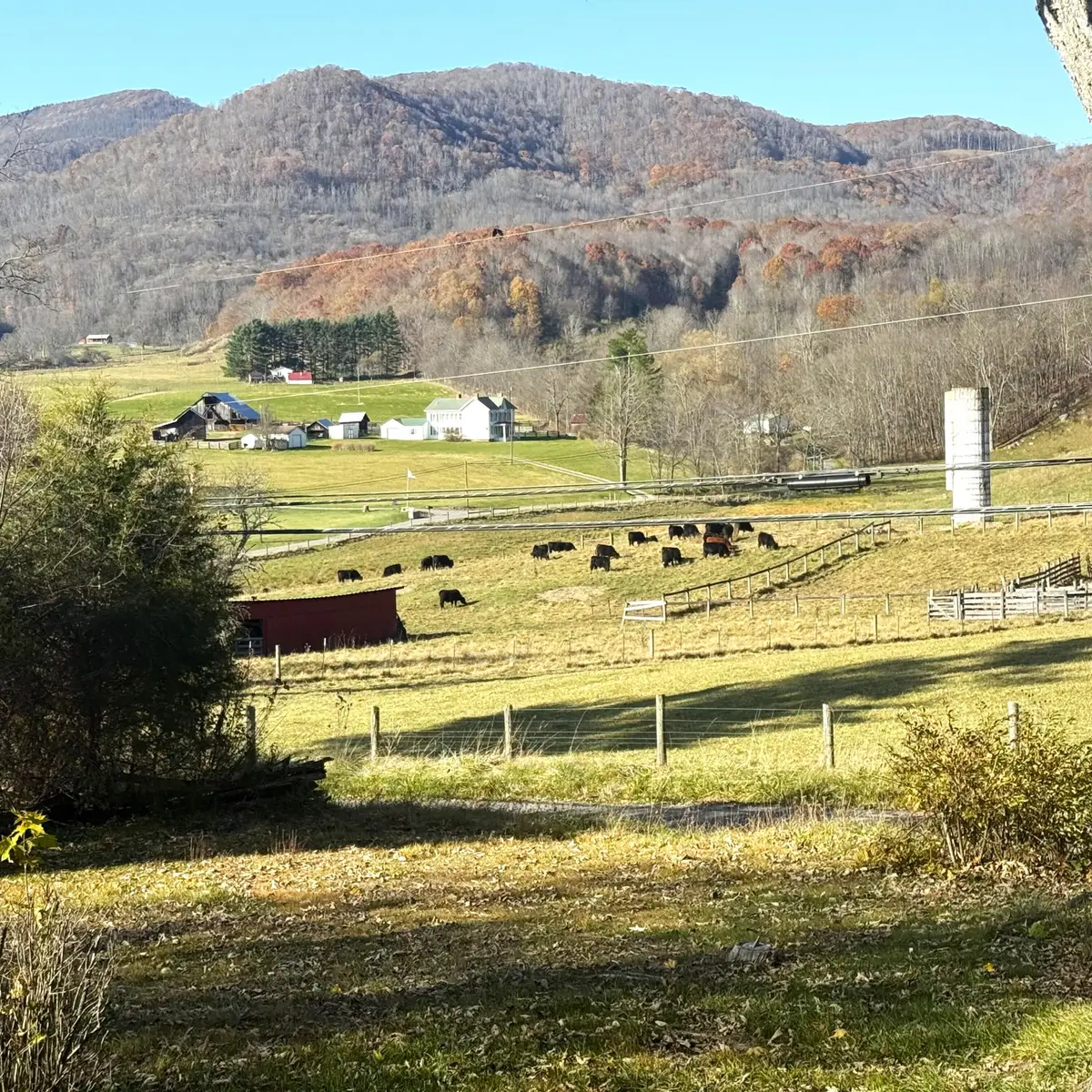 462 Edray Rd, Marlinton, WV 24954 - Image #1