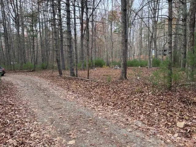 Lot 66 Sec Underwood Road, Gap Mills, WV 24941 - Image #2