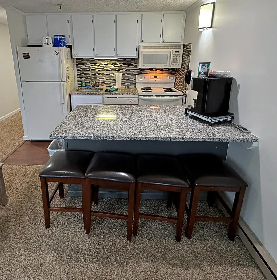 219 Mountain Lodge, Snowshoe, WV 26209 - Image #3