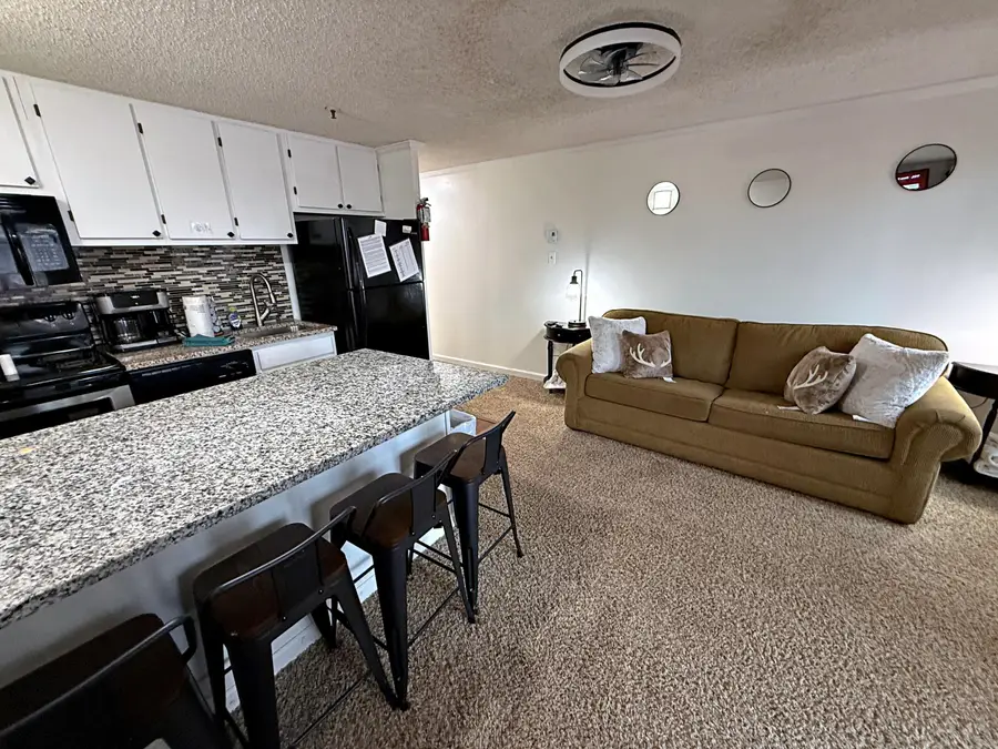 237 Mountain Lodge, Snowshoe, WV 26209 - Image #3