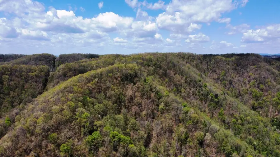 Address Withheld By Seller, Mullens, WV 25882 - #2