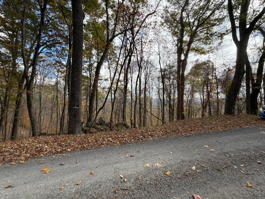 Muddy Creek Mountain Rd, Lewisburg, WV 24901 - Image #2