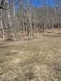 #3