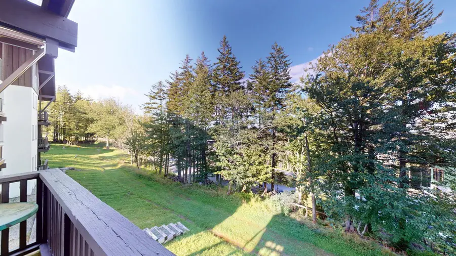 23 Whistlepunk, Snowshoe, WV 26209 - #2
