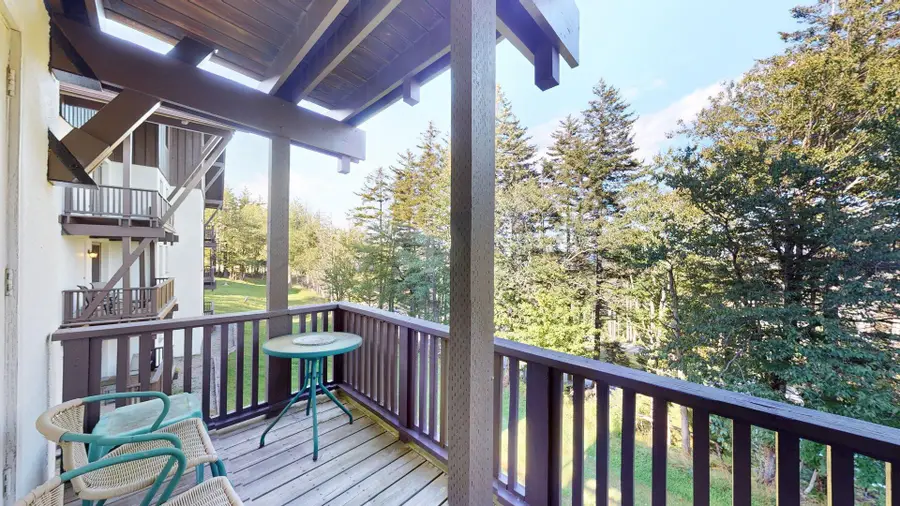 23 Whistlepunk, Snowshoe, WV 26209 - #3
